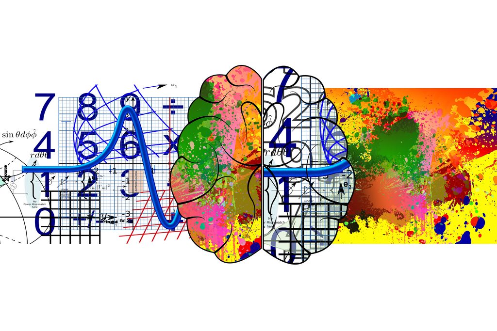 Illustration of a brain split between logic and creativity